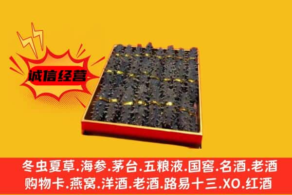 佳木斯抚远回收海参